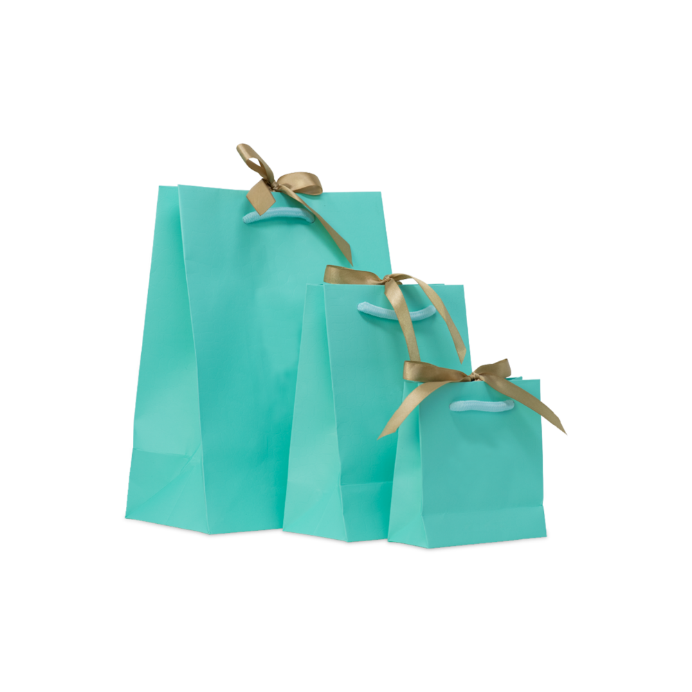 Custom Rope Handle Gift Bags